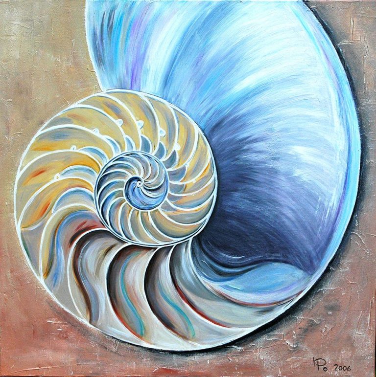 Bunte Schneckenhaus-Illustration mit spiralförmigem Muster und sanften Farbtönen.