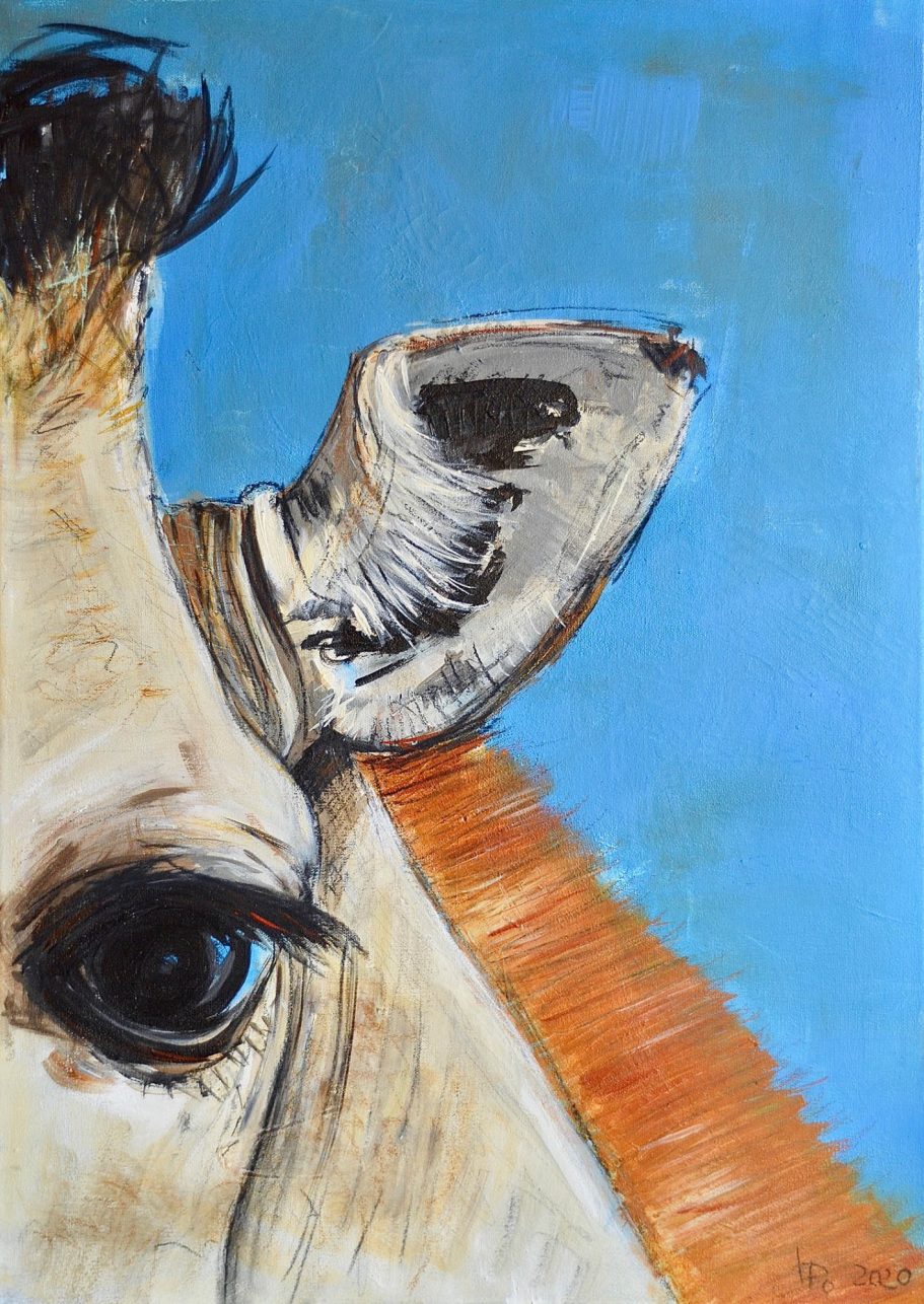 Giraffe Detail | 50x70cm Nahaufnahme eines Kuhgesichts mit blauem Hintergrund.