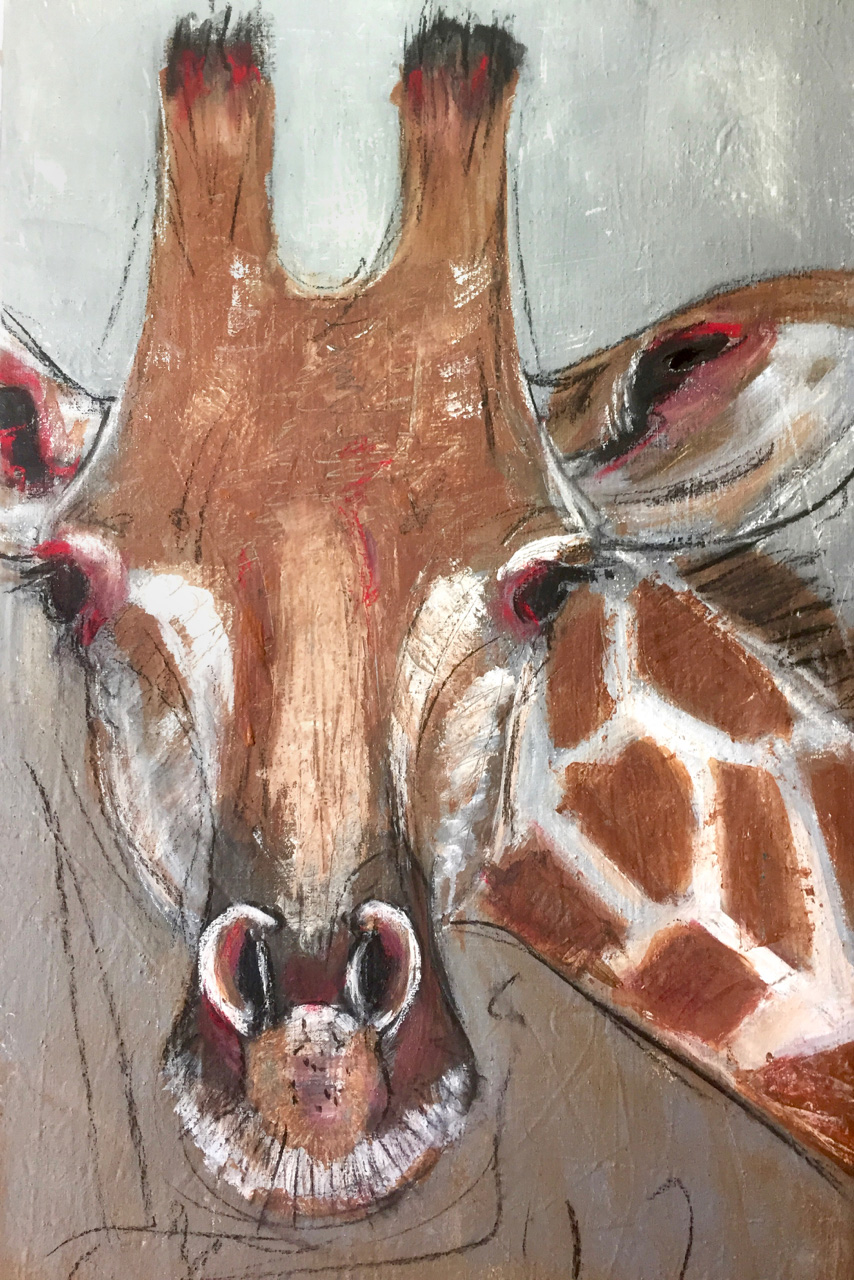 Giraffe 1| 50x80x5cml Kopf einer Giraffe, detaillierte Zeichnung mit charakteristischen Flecken und Augen.