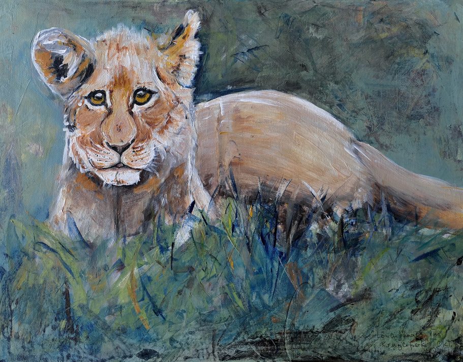 Löwenjunges im Krugerpark | 45x36cm Löwenjunges liegt im Gras, mit großen, neugierigen Augen und einem sanften Pelz.