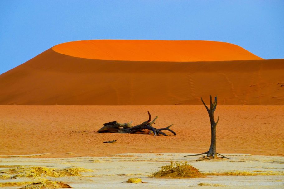 Eine orangefarbene Sanddüne hinter kargem, trockenem Boden und abgestorbenen Bäumen.