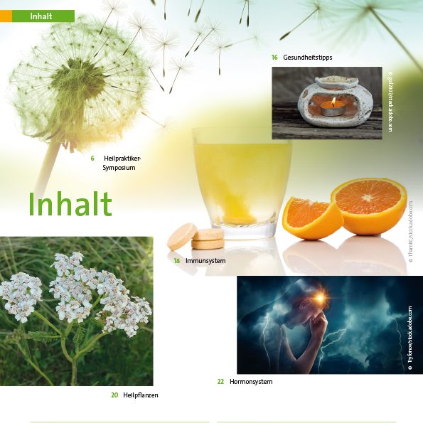 Löwenzahn, Kräuter, orange Getränke und ein leuchtender Kopf in einem kreativen Layout.