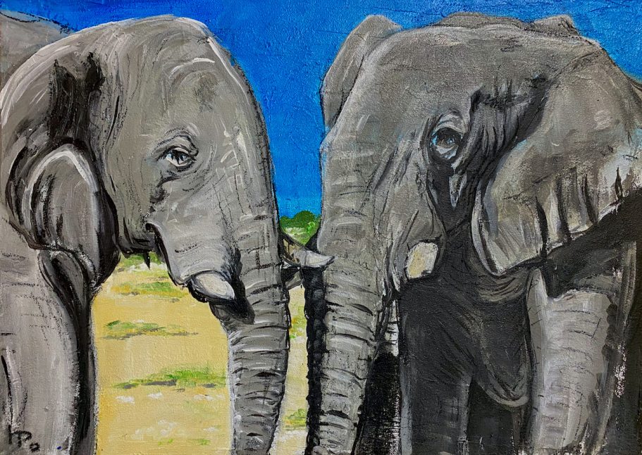 Elefantenpaar 2 | Etosha Nationalpark | 70x50cm Zwei Elefanten stehen sich gegenüber vor einem blauen Himmel und grünem Hintergrund.